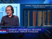 Produksi Padi Pemerintahan Jokowi Menurun