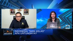 Masuk Upper-Middle Income, Modal RI Jadi Negara Maju 2030?
