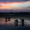 15.000 Ilmuwan Kompak Teriak Bumi Kiamat, Jadwalnya Sudah Ada