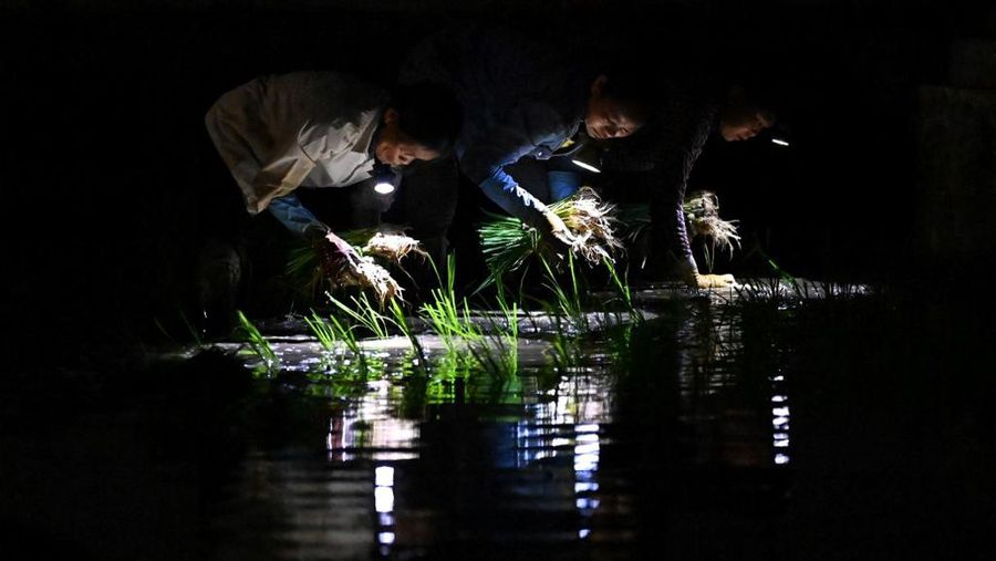 Seekor burung gagak berenang di air mancur saat hari panas di Bengaluru, Karnataka, India. (REUTERS/Navesh Chitrakar)