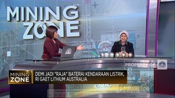 Tak Cukup Dengan Nikel, RI Butuh Ini Agar Jadi Raja Baterai