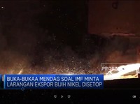 Buka-bukaan Mendag Soal IMF Larang Setop Ekspor Bijih Nikel