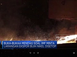 Buka-bukaan Mendag Soal IMF Larang Setop Ekspor Bijih Nikel