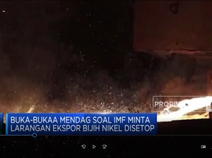 Buka-bukaan Mendag Soal IMF Larang Setop Ekspor Bijih Nikel
