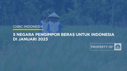 5 Negara Pengimpor Beras Untuk Indonesia di Januari 2023