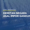 Deretan Negara Asal Impor Gandum RI di 2022