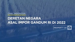 Deretan Negara Asal Impor Gandum RI di 2022