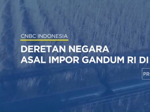 Deretan Negara Asal Impor Gandum RI di 2022