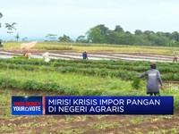 Miris! Krisis Impor Pangan di Negeri Agraris