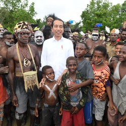Jokowi Rapat Soal Papua, Tiko Sebut Bahas Anggaran Operasi Khusus