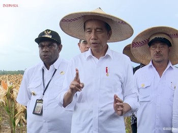 Top! Jokowi Pilih Genjot Produksi Beras Ketimbang Impor