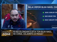 RI Kecolongan 5 Juta Ton Bijih Nikel, Celahnya di Mana?