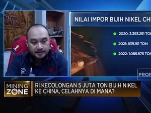 RI Kecolongan 5 Juta Ton Bijih Nikel, Celahnya di Mana?