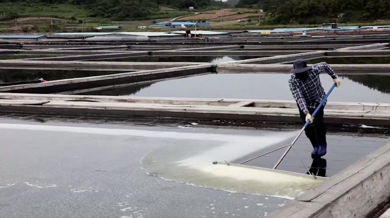 Warga Korea Selatan mulai menimbun garam laut dan barang-barang lainnya dalam jumlah berlebihan. Warga Korea Selatan mulai menimbun garam laut dan barang-barang lainnya dalam jumlah berlebihan. (Tangkapan Layar Video Reuters/E-BRIEFING / SHINAN COUNTY HANDOUT / FOREIGN POOL)