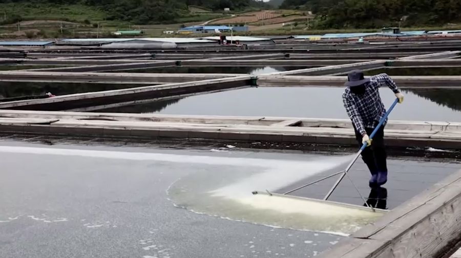 Warga Korea Selatan mulai menimbun garam laut dan barang-barang lainnya dalam jumlah berlebihan. (Tangkapan Layar Video Reuters/E-BRIEFING / SHINAN COUNTY HANDOUT / FOREIGN POOL)