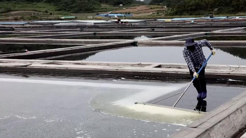 Warga Korea Selatan mulai menimbun garam laut dan barang-barang lainnya dalam jumlah berlebihan. (Tangkapan Layar Video Reuters/E-BRIEFING / SHINAN COUNTY HANDOUT / FOREIGN POOL)
