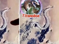 Heboh Ular Raksasa Nongol di Google Maps, Cek Faktanya!