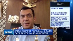 34 Juta Data Paspor Bocor, Dirjen Imigrasi: Masih Dugaan!