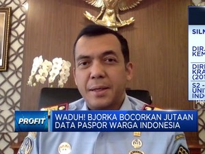 34 Juta Data Paspor Bocor, Dirjen Imigrasi: Masih Dugaan!