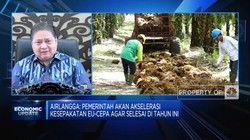 Airlangga: Aturan Eropa Bikin Sawit RI Tekor 6 Miliar Euro