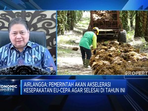 Airlangga: Aturan Eropa Bikin Sawit RI Tekor 6 Miliar Euro