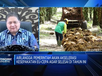 Airlangga: Aturan Eropa Bikin Sawit RI Tekor 6 Miliar Euro