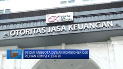 Anggota Dewan Komisioner OJK Pilihan Komisi XI DPR RI