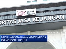 Anggota Dewan Komisioner OJK Pilihan Komisi XI DPR RI