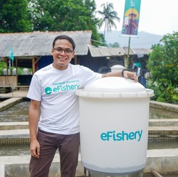 Audit eFishery Dilaporkan Sebut Gaji Gibran Rp1,2 Miliar, Ini Faktanya