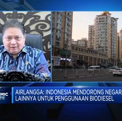 Dijegal Eropa, Sawit RI Sasar Pasar India Hingga Afrika