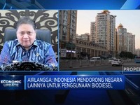 Dijegal Eropa, Sawit RI Sasar Pasar India Hingga Afrika