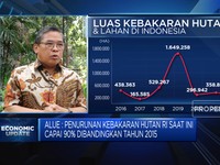 IKN Dikepung  Karhutla 3 Provinsi, KLHK Siap Antisipasi?