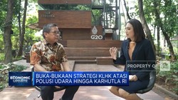 Wamen KLHK Sebut Negara Maju Punya 'Utang' ke RI, Apa Itu?