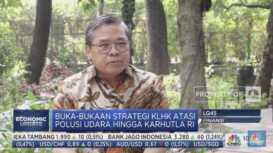 Wakil Menteri Lingkungan Hidup dan Kehutanan, Alue Dohong. (CNBC Indonesia)