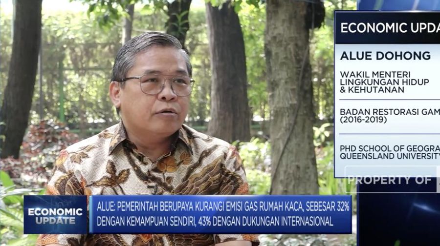 Wakil Menteri Lingkungan Hidup dan Kehutanan, Alue Dohong. (CNBC Indonesia)