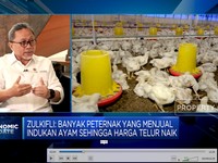 Janji Mendag, Harga Daging & Telur Ayam Turun Akhir Juli