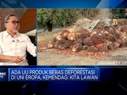 Mendag Zulhas Sebut UU Anti Deforestasi Eropa Aturan Penjajah