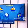 Cuan Maksimal, Ini Tips Diversifikasi Reksa Dana Untuk Pemula