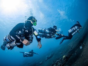 Mau Ikut Kursus Diving? Segini Biayanya