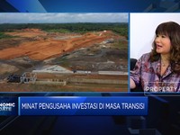 Wow! Begini Minat Investasi Pengusaha ke Proyek IKN Jokowi