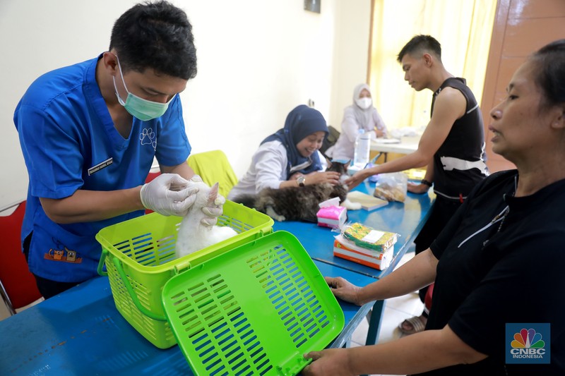 Warga membawa hewan peliharaanya untuk menjalani proses vaksin rabies untuk klasifikasi hewan anjing, kucing, dan kera oleh Suku Dinas Ketahanan Pangan, Kelautan dan Pertanian (Sudin KPKP) Jakarta Timur secara gratis di Kuningan Mampang, Jakarta Selatan Rabu (12/7/2023). (CNBC Indonesia/Muhammad Sabki) Warga membawa hewan peliharaanya untuk menjalani proses vaksin rabies untuk klasifikasi hewan anjing, kucing, dan kera oleh Suku Dinas Ketahanan Pangan, Kelautan dan Pertanian (Sudin KPKP) Jakarta Timur secara gratis di Kuningan Mampang, Jakarta Selatan Rabu (12/7/2023). (CNBC Indonesia/Muhammad Sabki)