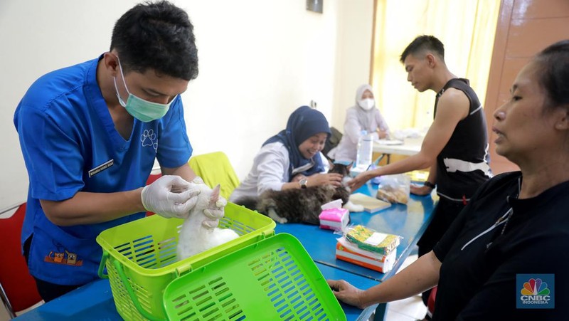 Warga membawa hewan peliharaanya untuk menjalani proses vaksin rabies untuk klasifikasi hewan anjing, kucing, dan kera oleh Suku Dinas Ketahanan Pangan, Kelautan dan Pertanian (Sudin KPKP) Jakarta Timur secara gratis di Kuningan Mampang, Jakarta Selatan Rabu (12/7/2023). (CNBC Indonesia/Muhammad Sabki)