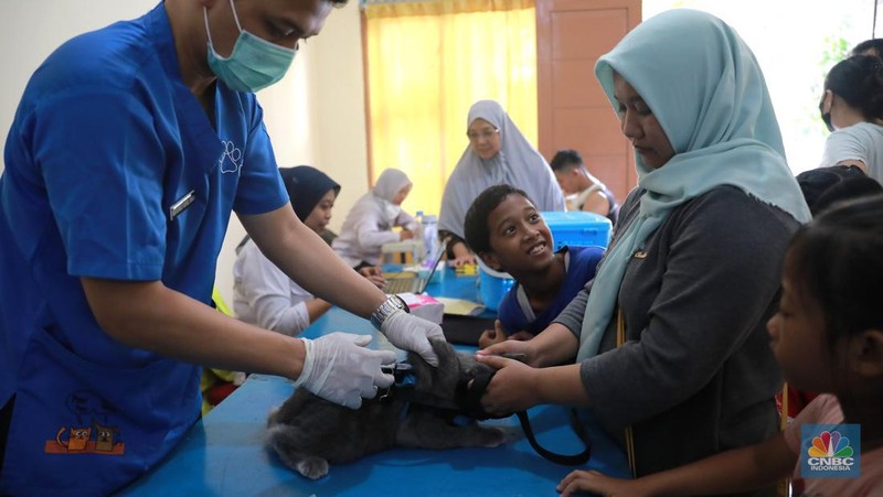 Warga membawa hewan peliharaanya untuk menjalani proses vaksin rabies untuk klasifikasi hewan anjing, kucing, dan kera oleh Suku Dinas Ketahanan Pangan, Kelautan dan Pertanian (Sudin KPKP) Jakarta Timur secara gratis di Kuningan Mampang, Jakarta Selatan Rabu (12/7/2023). (CNBC Indonesia/Muhammad Sabki)