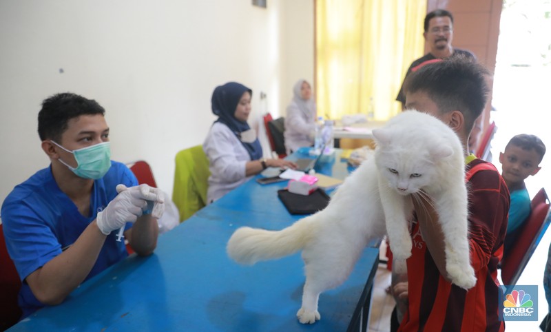 Warga membawa hewan peliharaanya untuk menjalani proses vaksin rabies untuk klasifikasi hewan anjing, kucing, dan kera oleh Suku Dinas Ketahanan Pangan, Kelautan dan Pertanian (Sudin KPKP) Jakarta Timur secara gratis di Kuningan Mampang, Jakarta Selatan Rabu (12/7/2023). (CNBC Indonesia/Muhammad Sabki) Warga membawa hewan peliharaanya untuk menjalani proses vaksin rabies untuk klasifikasi hewan anjing, kucing, dan kera oleh Suku Dinas Ketahanan Pangan, Kelautan dan Pertanian (Sudin KPKP) Jakarta Timur secara gratis di Kuningan Mampang, Jakarta Selatan Rabu (12/7/2023). (CNBC Indonesia/Muhammad Sabki)