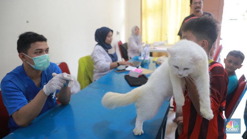 Warga membawa hewan peliharaanya untuk menjalani proses vaksin rabies untuk klasifikasi hewan anjing, kucing, dan kera oleh Suku Dinas Ketahanan Pangan, Kelautan dan Pertanian (Sudin KPKP) Jakarta Timur secara gratis di Kuningan Mampang, Jakarta Selatan Rabu (12/7/2023). (CNBC Indonesia/Muhammad Sabki)