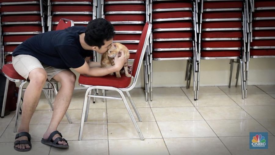 Warga membawa hewan peliharaanya untuk menjalani proses vaksin rabies untuk klasifikasi hewan anjing, kucing, dan kera oleh Suku Dinas Ketahanan Pangan, Kelautan dan Pertanian (Sudin KPKP) Jakarta Timur secara gratis di Kuningan Mampang, Jakarta Selatan Rabu (12/7/2023). (CNBC Indonesia/Muhammad Sabki)