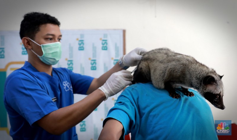 Warga membawa hewan peliharaanya untuk menjalani proses vaksin rabies untuk klasifikasi hewan anjing, kucing, dan kera oleh Suku Dinas Ketahanan Pangan, Kelautan dan Pertanian (Sudin KPKP) Jakarta Timur secara gratis di Kuningan Mampang, Jakarta Selatan Rabu (12/7/2023). (CNBC Indonesia/Muhammad Sabki) Warga membawa hewan peliharaanya untuk menjalani proses vaksin rabies untuk klasifikasi hewan anjing, kucing, dan kera oleh Suku Dinas Ketahanan Pangan, Kelautan dan Pertanian (Sudin KPKP) Jakarta Timur secara gratis di Kuningan Mampang, Jakarta Selatan Rabu (12/7/2023). (CNBC Indonesia/Muhammad Sabki)