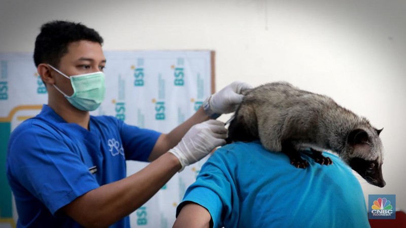 Warga membawa hewan peliharaanya untuk menjalani proses vaksin rabies untuk klasifikasi hewan anjing, kucing, dan kera oleh Suku Dinas Ketahanan Pangan, Kelautan dan Pertanian (Sudin KPKP) Jakarta Timur secara gratis di Kuningan Mampang, Jakarta Selatan Rabu (12/7/2023). (CNBC Indonesia/Muhammad Sabki)
