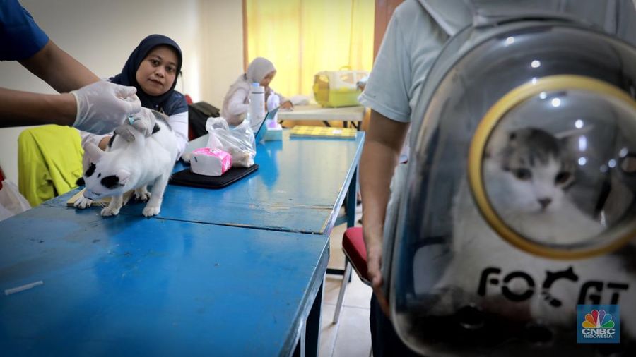 Warga membawa hewan peliharaanya untuk menjalani proses vaksin rabies untuk klasifikasi hewan anjing, kucing, dan kera oleh Suku Dinas Ketahanan Pangan, Kelautan dan Pertanian (Sudin KPKP) Jakarta Timur secara gratis di Kuningan Mampang, Jakarta Selatan Rabu (12/7/2023). (CNBC Indonesia/Muhammad Sabki)