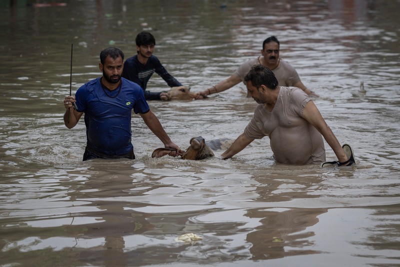 Anggota Pasukan Tanggap Bencana Nasional (NDRF) mengevakuasi penduduk yang terdampar dari lokasi banjir, setelah kenaikan permukaan air sungai Yamuna, di New Delhi, India, 13 Juli 2023. (REUTERS/Adnan Abidi)